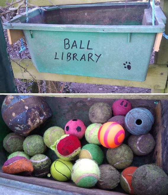 Ball library on Birmingham Road