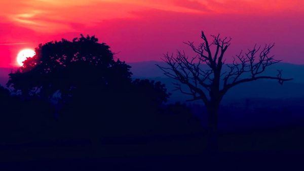 Sunset image (sent by Dirk Perry)