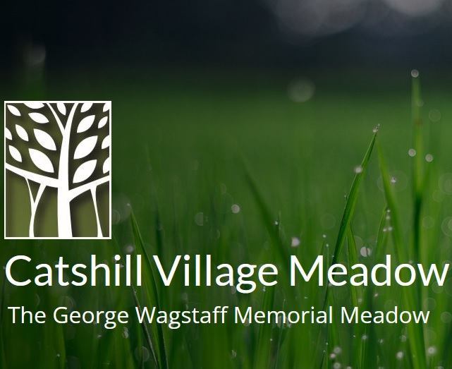Catshill Village Meadow - The George Wagstaff Memorial Meadow