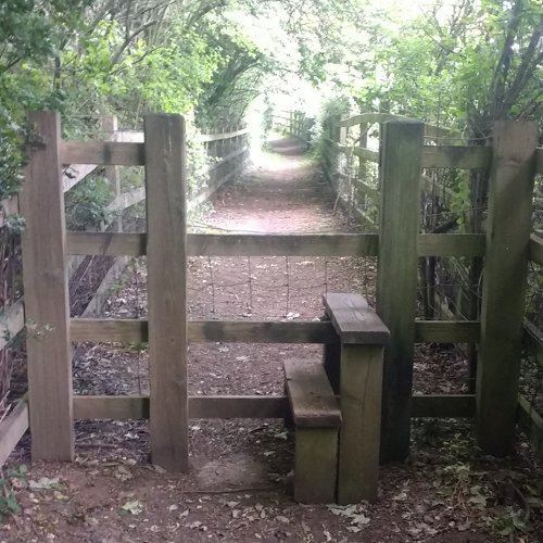 Image of a section of Monarchs walk. Entrance is via a wooden step-over stile.